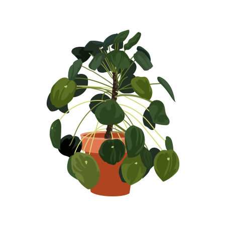 Logo du groupe Passion Jardinage